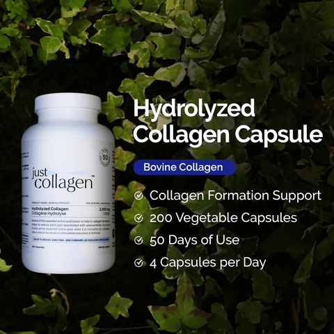 Hydrolyzed Bovine Collagen 200 Capsules